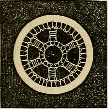 An illustration from The lady's manual of fancy work : a complete instructor in every variety of ornamental needle-work : including applique..., 1859, leaf 94