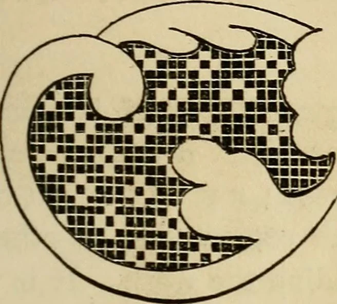 An illustration from The lady's manual of fancy work : a complete instructor in every variety of ornamental needle-work : including applique..., 1859, leaf 96