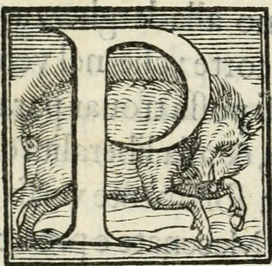 An illustration from La entrata che fece in Vinegia l'illvstrissimo et eccellentissimo s. dvca Alfonso II. Estense, dvca V. di Ferrara, 1562, leaf 19