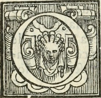 An illustration from La entrata che fece in Vinegia l'illvstrissimo et eccellentissimo s. dvca Alfonso II. Estense, dvca V. di Ferrara, 1562, leaf 23