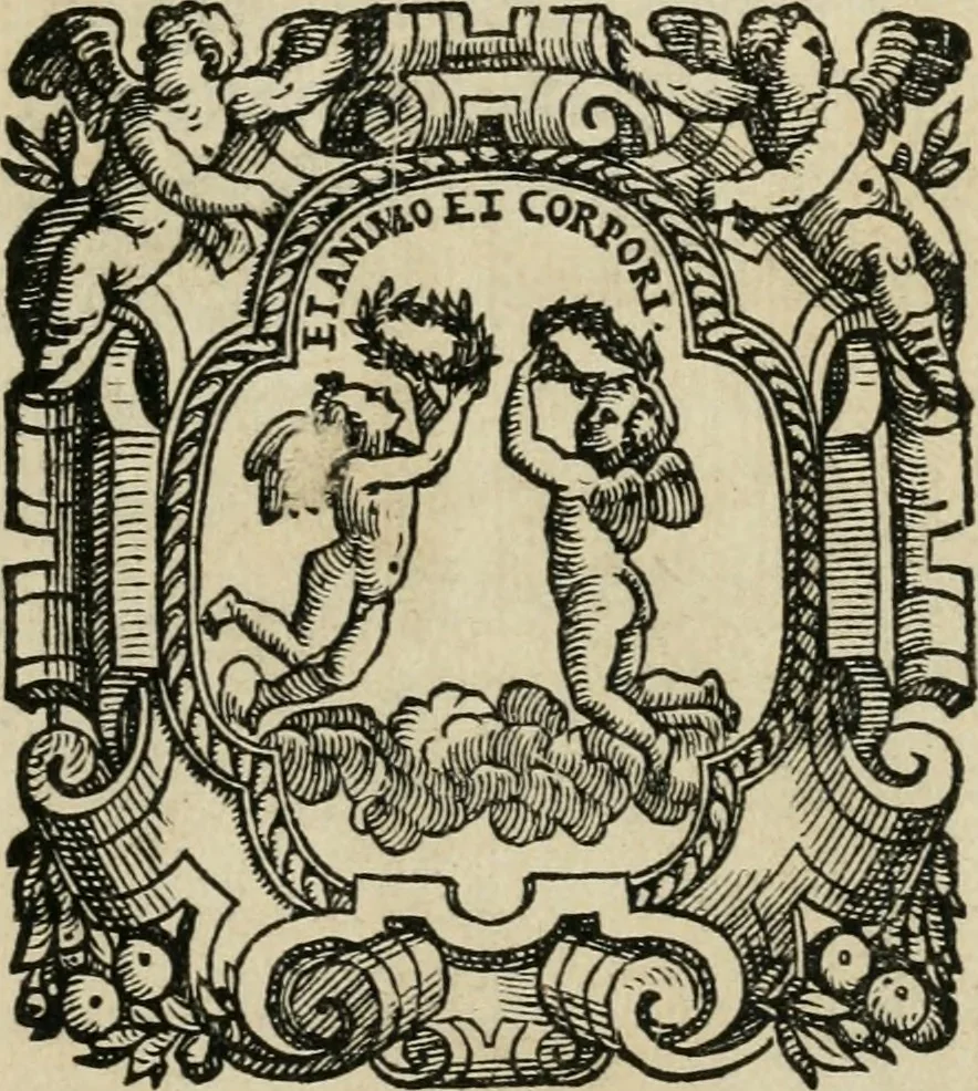 An illustration from La entrata che fece in Vinegia l'illvstrissimo et eccellentissimo s. dvca Alfonso II. Estense, dvca V. di Ferrara, 1562, leaf 4