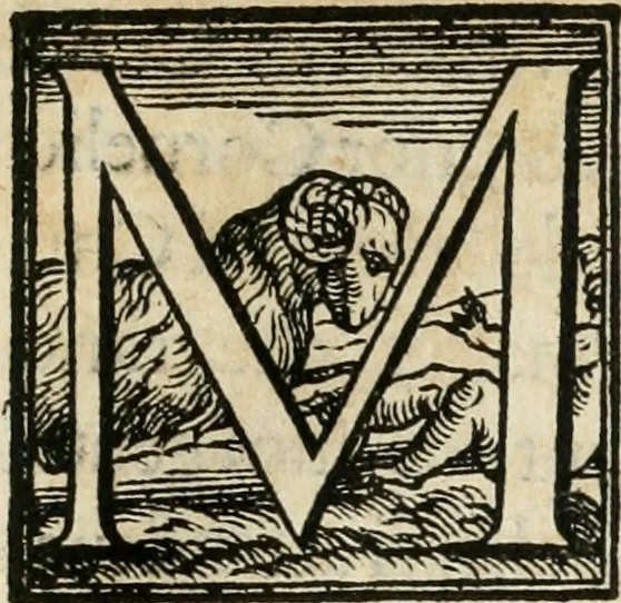 An illustration from La entrata che fece in Vinegia l'illvstrissimo et eccellentissimo s. dvca Alfonso II. Estense, dvca V. di Ferrara, 1562, leaf 6