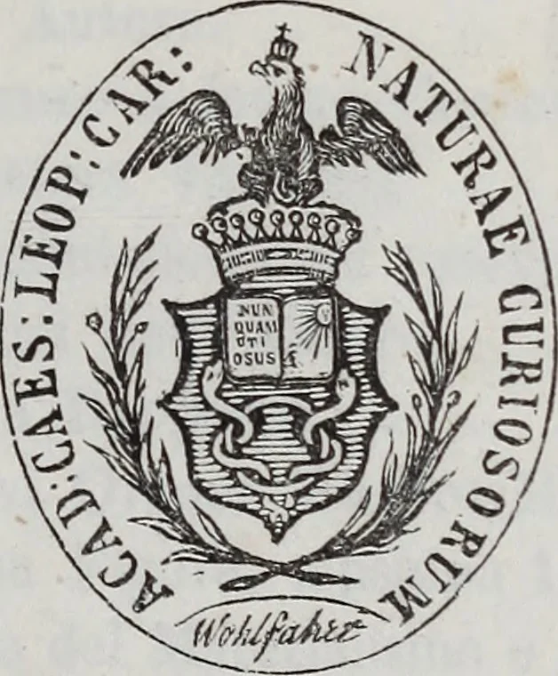 An illustration from La esistenza e spiritualità dell' anima distinta dallo spirito sensitivo prodotto del meccanismo organico contro i materialisti fatta rilevare in più fasi di mesmerica lucidità mediante una trentina di pubbliche gratuite accademie offerte dal mesmerista prof:, 1855, leaf 10