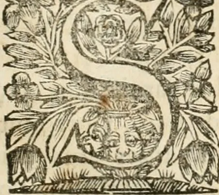 An illustration from La estrella de Lima convertida en sol sobre sus tres coronas, el b. Toribio Alfonso Mogrobexo, su segundo arzobispo: celebrado con epitalamios sacros y solemnes cultos, por su esposa la Santa Iglesia Metropolitana de Lima , al activo y soberano influxo del exmo. e illmo. señor doct. d. Melchor de Liñan y Cisneros ... : descripcion sacro politica de las grandezas de la ciudad de Lima, y compendio historico eclesiastico de su Santa Iglesia Metropolitana, 1688, leaf 146