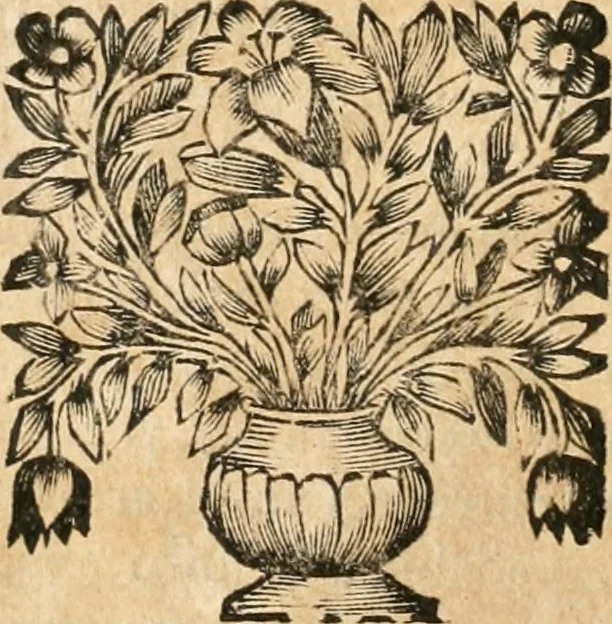 An illustration from La estrella de Lima convertida en sol sobre sus tres coronas, el b. Toribio Alfonso Mogrobexo, su segundo arzobispo: celebrado con epitalamios sacros y solemnes cultos, por su esposa la Santa Iglesia Metropolitana de Lima , al activo y soberano influxo del exmo. e illmo. señor doct. d. Melchor de Liñan y Cisneros ... : descripcion sacro politica de las grandezas de la ciudad de Lima, y compendio historico eclesiastico de su Santa Iglesia Metropolitana, 1688, leaf 151