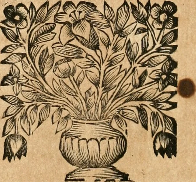 An illustration from La estrella de Lima convertida en sol sobre sus tres coronas, el b. Toribio Alfonso Mogrobexo, su segundo arzobispo: celebrado con epitalamios sacros y solemnes cultos, por su esposa la Santa Iglesia Metropolitana de Lima , al activo y soberano influxo del exmo. e illmo. señor doct. d. Melchor de Liñan y Cisneros ... : descripcion sacro politica de las grandezas de la ciudad de Lima, y compendio historico eclesiastico de su Santa Iglesia Metropolitana, 1688, leaf 189