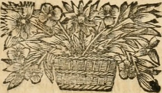 An illustration from La estrella de Lima convertida en sol sobre sus tres coronas, el b. Toribio Alfonso Mogrobexo, su segundo arzobispo: celebrado con epitalamios sacros y solemnes cultos, por su esposa la Santa Iglesia Metropolitana de Lima , al activo y soberano influxo del exmo. e illmo. señor doct. d. Melchor de Liñan y Cisneros ... : descripcion sacro politica de las grandezas de la ciudad de Lima, y compendio historico eclesiastico de su Santa Iglesia Metropolitana, 1688, leaf 222