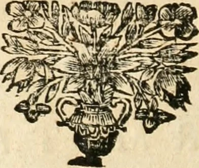 An illustration from La estrella de Lima convertida en sol sobre sus tres coronas, el b. Toribio Alfonso Mogrobexo, su segundo arzobispo: celebrado con epitalamios sacros y solemnes cultos, por su esposa la Santa Iglesia Metropolitana de Lima , al activo y soberano influxo del exmo. e illmo. señor doct. d. Melchor de Liñan y Cisneros ... : descripcion sacro politica de las grandezas de la ciudad de Lima, y compendio historico eclesiastico de su Santa Iglesia Metropolitana, 1688, leaf 257