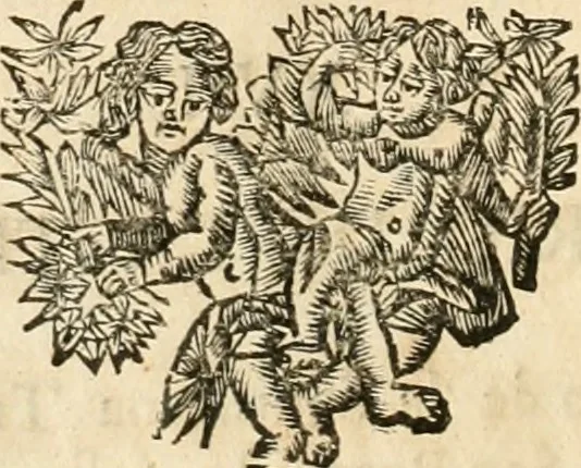 An illustration from La estrella de Lima convertida en sol sobre sus tres coronas, el b. Toribio Alfonso Mogrobexo, su segundo arzobispo: celebrado con epitalamios sacros y solemnes cultos, por su esposa la Santa Iglesia Metropolitana de Lima , al activo y soberano influxo del exmo. e illmo. señor doct. d. Melchor de Liñan y Cisneros ... : descripcion sacro politica de las grandezas de la ciudad de Lima, y compendio historico eclesiastico de su Santa Iglesia Metropolitana, 1688, leaf 259