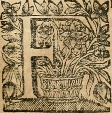 An illustration from La estrella de Lima convertida en sol sobre sus tres coronas, el b. Toribio Alfonso Mogrobexo, su segundo arzobispo: celebrado con epitalamios sacros y solemnes cultos, por su esposa la Santa Iglesia Metropolitana de Lima , al activo y soberano influxo del exmo. e illmo. señor doct. d. Melchor de Liñan y Cisneros ... : descripcion sacro politica de las grandezas de la ciudad de Lima, y compendio historico eclesiastico de su Santa Iglesia Metropolitana, 1688, leaf 288