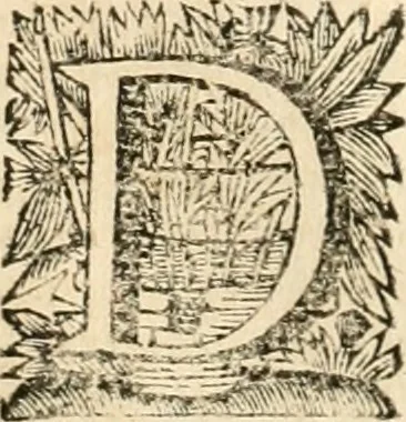 An illustration from La estrella de Lima convertida en sol sobre sus tres coronas, el b. Toribio Alfonso Mogrobexo, su segundo arzobispo: celebrado con epitalamios sacros y solemnes cultos, por su esposa la Santa Iglesia Metropolitana de Lima , al activo y soberano influxo del exmo. e illmo. señor doct. d. Melchor de Liñan y Cisneros ... : descripcion sacro politica de las grandezas de la ciudad de Lima, y compendio historico eclesiastico de su Santa Iglesia Metropolitana, 1688, leaf 301