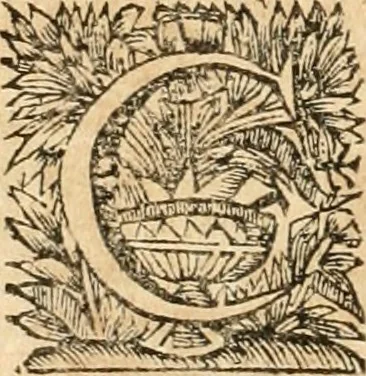 An illustration from La estrella de Lima convertida en sol sobre sus tres coronas, el b. Toribio Alfonso Mogrobexo, su segundo arzobispo: celebrado con epitalamios sacros y solemnes cultos, por su esposa la Santa Iglesia Metropolitana de Lima , al activo y soberano influxo del exmo. e illmo. señor doct. d. Melchor de Liñan y Cisneros ... : descripcion sacro politica de las grandezas de la ciudad de Lima, y compendio historico eclesiastico de su Santa Iglesia Metropolitana, 1688, leaf 303