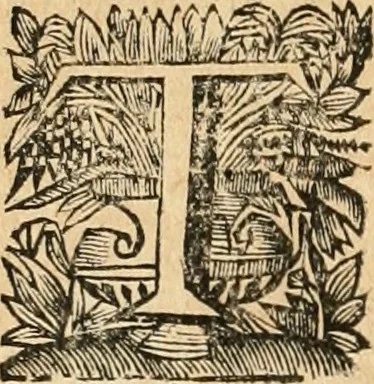 An illustration from La estrella de Lima convertida en sol sobre sus tres coronas, el b. Toribio Alfonso Mogrobexo, su segundo arzobispo: celebrado con epitalamios sacros y solemnes cultos, por su esposa la Santa Iglesia Metropolitana de Lima , al activo y soberano influxo del exmo. e illmo. señor doct. d. Melchor de Liñan y Cisneros ... : descripcion sacro politica de las grandezas de la ciudad de Lima, y compendio historico eclesiastico de su Santa Iglesia Metropolitana, 1688, leaf 329