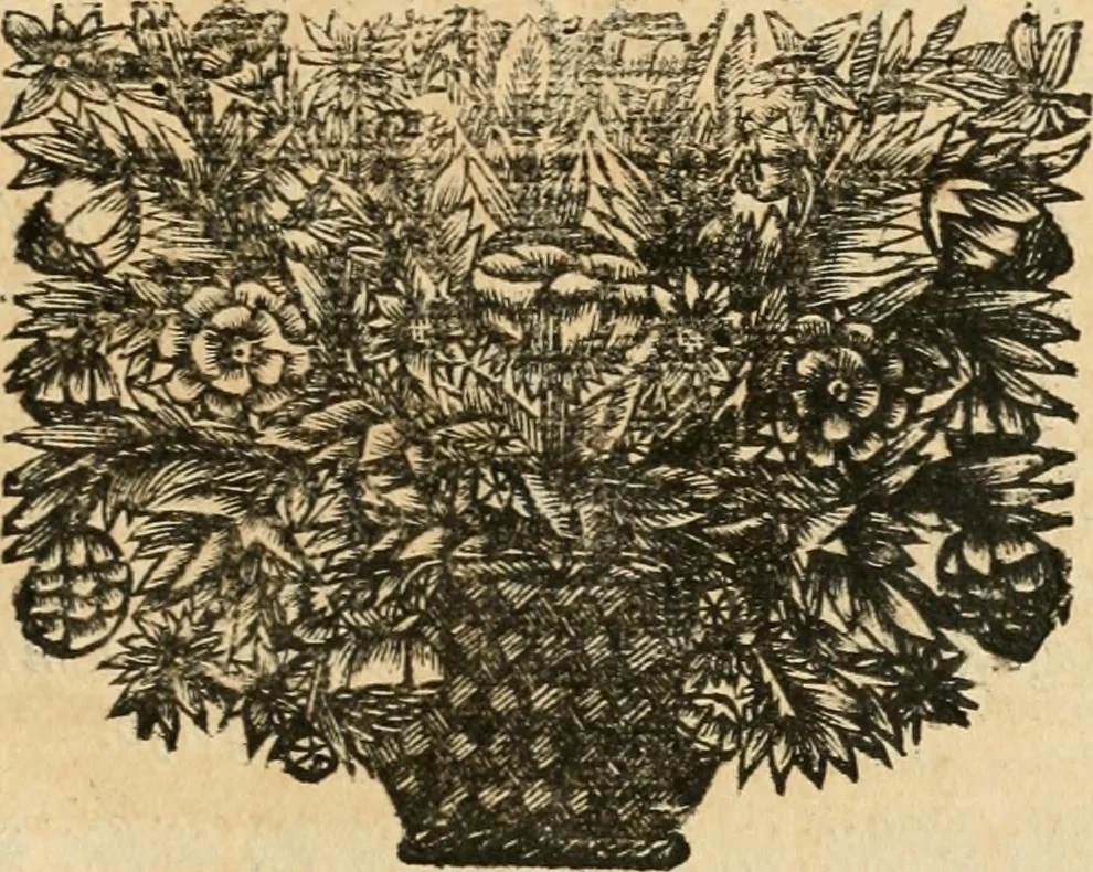 An illustration from La estrella de Lima convertida en sol sobre sus tres coronas, el b. Toribio Alfonso Mogrobexo, su segundo arzobispo: celebrado con epitalamios sacros y solemnes cultos, por su esposa la Santa Iglesia Metropolitana de Lima , al activo y soberano influxo del exmo. e illmo. señor doct. d. Melchor de Liñan y Cisneros ... : descripcion sacro politica de las grandezas de la ciudad de Lima, y compendio historico eclesiastico de su Santa Iglesia Metropolitana, 1688, leaf 336