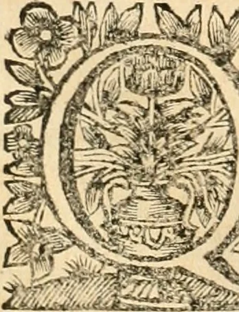 An illustration from La estrella de Lima convertida en sol sobre sus tres coronas, el b. Toribio Alfonso Mogrobexo, su segundo arzobispo: celebrado con epitalamios sacros y solemnes cultos, por su esposa la Santa Iglesia Metropolitana de Lima , al activo y soberano influxo del exmo. e illmo. señor doct. d. Melchor de Liñan y Cisneros ... : descripcion sacro politica de las grandezas de la ciudad de Lima, y compendio historico eclesiastico de su Santa Iglesia Metropolitana, 1688, leaf 337