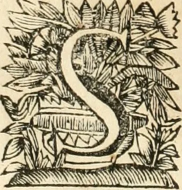 An illustration from La estrella de Lima convertida en sol sobre sus tres coronas, el b. Toribio Alfonso Mogrobexo, su segundo arzobispo: celebrado con epitalamios sacros y solemnes cultos, por su esposa la Santa Iglesia Metropolitana de Lima , al activo y soberano influxo del exmo. e illmo. señor doct. d. Melchor de Liñan y Cisneros ... : descripcion sacro politica de las grandezas de la ciudad de Lima, y compendio historico eclesiastico de su Santa Iglesia Metropolitana, 1688, leaf 345