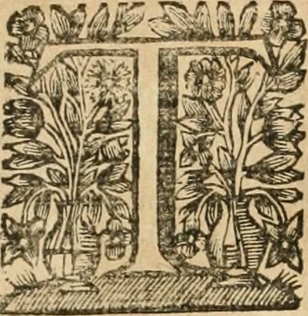 An illustration from La estrella de Lima convertida en sol sobre sus tres coronas, el b. Toribio Alfonso Mogrobexo, su segundo arzobispo: celebrado con epitalamios sacros y solemnes cultos, por su esposa la Santa Iglesia Metropolitana de Lima , al activo y soberano influxo del exmo. e illmo. señor doct. d. Melchor de Liñan y Cisneros ... : descripcion sacro politica de las grandezas de la ciudad de Lima, y compendio historico eclesiastico de su Santa Iglesia Metropolitana, 1688, leaf 348