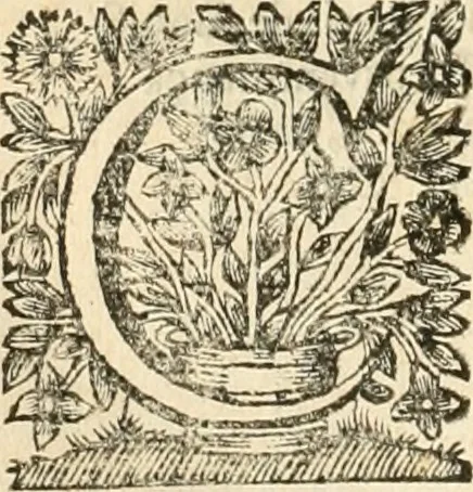 An illustration from La estrella de Lima convertida en sol sobre sus tres coronas, el b. Toribio Alfonso Mogrobexo, su segundo arzobispo: celebrado con epitalamios sacros y solemnes cultos, por su esposa la Santa Iglesia Metropolitana de Lima , al activo y soberano influxo del exmo. e illmo. señor doct. d. Melchor de Liñan y Cisneros ... : descripcion sacro politica de las grandezas de la ciudad de Lima, y compendio historico eclesiastico de su Santa Iglesia Metropolitana, 1688, leaf 359