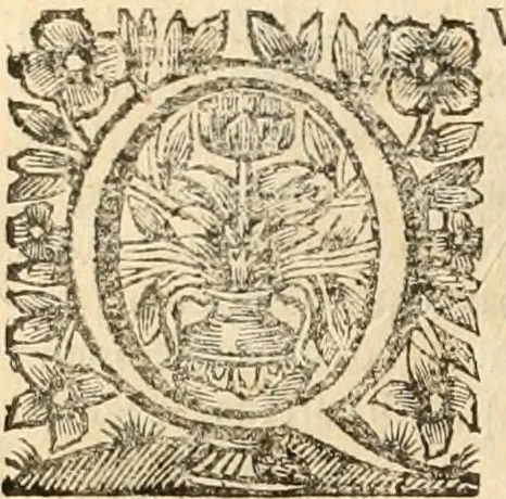 An illustration from La estrella de Lima convertida en sol sobre sus tres coronas, el b. Toribio Alfonso Mogrobexo, su segundo arzobispo: celebrado con epitalamios sacros y solemnes cultos, por su esposa la Santa Iglesia Metropolitana de Lima , al activo y soberano influxo del exmo. e illmo. señor doct. d. Melchor de Liñan y Cisneros ... : descripcion sacro politica de las grandezas de la ciudad de Lima, y compendio historico eclesiastico de su Santa Iglesia Metropolitana, 1688, leaf 375