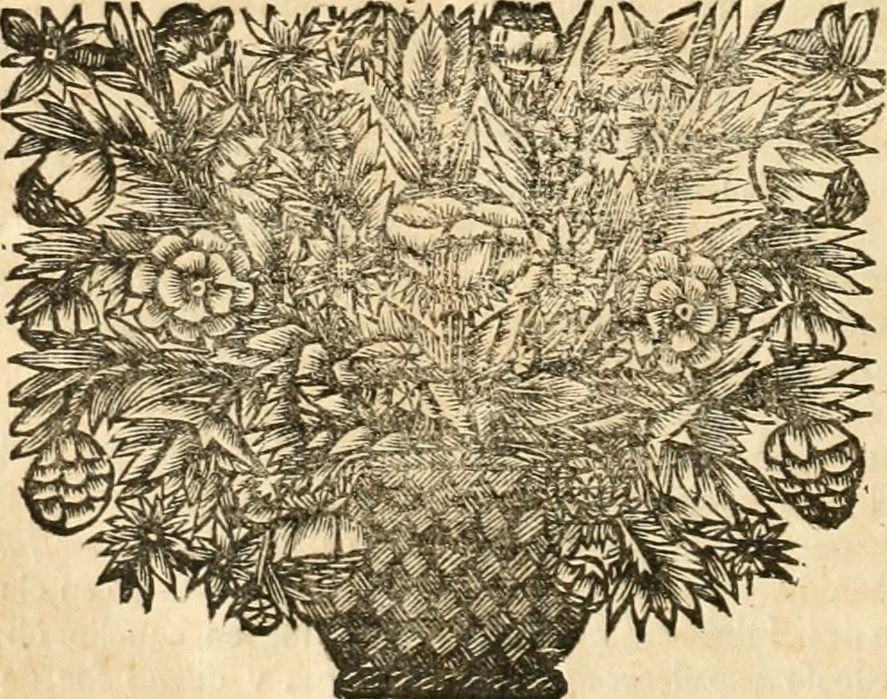 An illustration from La estrella de Lima convertida en sol sobre sus tres coronas, el b. Toribio Alfonso Mogrobexo, su segundo arzobispo: celebrado con epitalamios sacros y solemnes cultos, por su esposa la Santa Iglesia Metropolitana de Lima , al activo y soberano influxo del exmo. e illmo. señor doct. d. Melchor de Liñan y Cisneros ... : descripcion sacro politica de las grandezas de la ciudad de Lima, y compendio historico eclesiastico de su Santa Iglesia Metropolitana, 1688, leaf 383