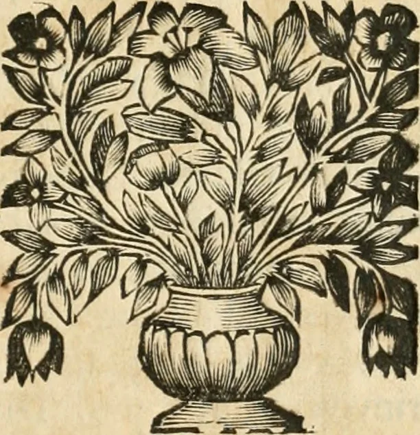 An illustration from La estrella de Lima convertida en sol sobre sus tres coronas, el b. Toribio Alfonso Mogrobexo, su segundo arzobispo: celebrado con epitalamios sacros y solemnes cultos, por su esposa la Santa Iglesia Metropolitana de Lima , al activo y soberano influxo del exmo. e illmo. señor doct. d. Melchor de Liñan y Cisneros ... : descripcion sacro politica de las grandezas de la ciudad de Lima, y compendio historico eclesiastico de su Santa Iglesia Metropolitana, 1688, leaf 388