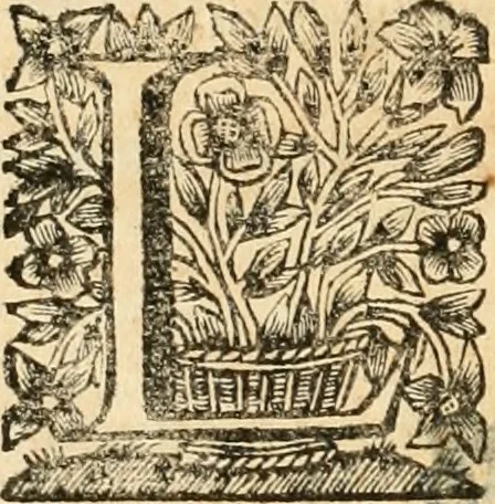 An illustration from La estrella de Lima convertida en sol sobre sus tres coronas, el b. Toribio Alfonso Mogrobexo, su segundo arzobispo: celebrado con epitalamios sacros y solemnes cultos, por su esposa la Santa Iglesia Metropolitana de Lima , al activo y soberano influxo del exmo. e illmo. señor doct. d. Melchor de Liñan y Cisneros ... : descripcion sacro politica de las grandezas de la ciudad de Lima, y compendio historico eclesiastico de su Santa Iglesia Metropolitana, 1688, leaf 389