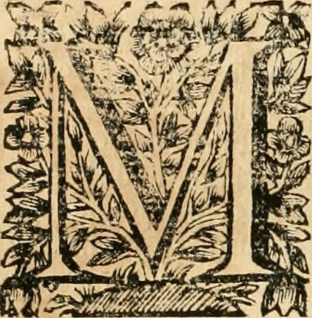 An illustration from La estrella de Lima convertida en sol sobre sus tres coronas, el b. Toribio Alfonso Mogrobexo, su segundo arzobispo: celebrado con epitalamios sacros y solemnes cultos, por su esposa la Santa Iglesia Metropolitana de Lima , al activo y soberano influxo del exmo. e illmo. señor doct. d. Melchor de Liñan y Cisneros ... : descripcion sacro politica de las grandezas de la ciudad de Lima, y compendio historico eclesiastico de su Santa Iglesia Metropolitana, 1688, leaf 395