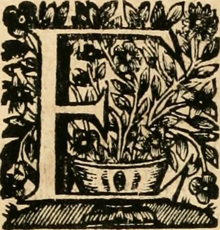 An illustration from La estrella de Lima convertida en sol sobre sus tres coronas, el b. Toribio Alfonso Mogrobexo, su segundo arzobispo: celebrado con epitalamios sacros y solemnes cultos, por su esposa la Santa Iglesia Metropolitana de Lima , al activo y soberano influxo del exmo. e illmo. señor doct. d. Melchor de Liñan y Cisneros ... : descripcion sacro politica de las grandezas de la ciudad de Lima, y compendio historico eclesiastico de su Santa Iglesia Metropolitana, 1688, leaf 397