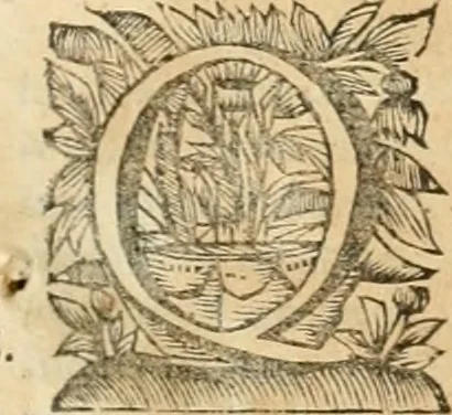 An illustration from La estrella de Lima convertida en sol sobre sus tres coronas, el b. Toribio Alfonso Mogrobexo, su segundo arzobispo: celebrado con epitalamios sacros y solemnes cultos, por su esposa la Santa Iglesia Metropolitana de Lima , al activo y soberano influxo del exmo. e illmo. señor doct. d. Melchor de Liñan y Cisneros ... : descripcion sacro politica de las grandezas de la ciudad de Lima, y compendio historico eclesiastico de su Santa Iglesia Metropolitana, 1688, leaf 408