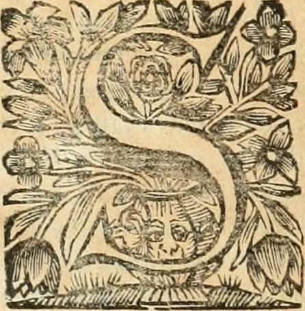 An illustration from La estrella de Lima convertida en sol sobre sus tres coronas, el b. Toribio Alfonso Mogrobexo, su segundo arzobispo: celebrado con epitalamios sacros y solemnes cultos, por su esposa la Santa Iglesia Metropolitana de Lima , al activo y soberano influxo del exmo. e illmo. señor doct. d. Melchor de Liñan y Cisneros ... : descripcion sacro politica de las grandezas de la ciudad de Lima, y compendio historico eclesiastico de su Santa Iglesia Metropolitana, 1688, leaf 411