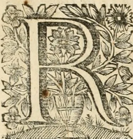 An illustration from La estrella de Lima convertida en sol sobre sus tres coronas, el b. Toribio Alfonso Mogrobexo, su segundo arzobispo: celebrado con epitalamios sacros y solemnes cultos, por su esposa la Santa Iglesia Metropolitana de Lima , al activo y soberano influxo del exmo. e illmo. señor doct. d. Melchor de Liñan y Cisneros ... : descripcion sacro politica de las grandezas de la ciudad de Lima, y compendio historico eclesiastico de su Santa Iglesia Metropolitana, 1688, leaf 8