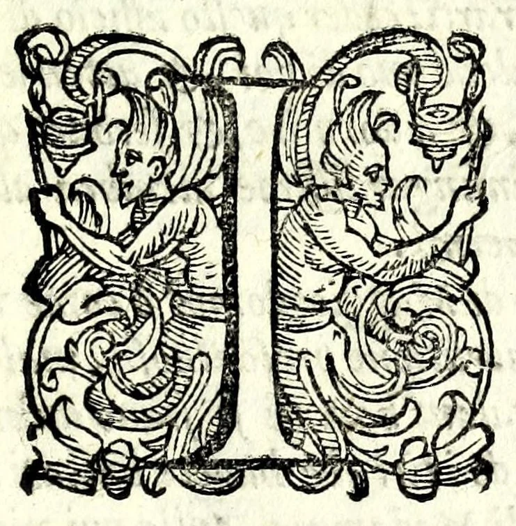 An illustration from La falsa ripvtatione della fortvna : favola morale, 1596, leaf 13
