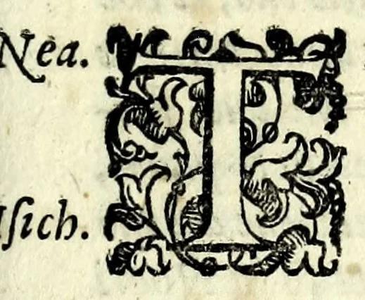 An illustration from La falsa ripvtatione della fortvna : favola morale, 1596, leaf 25