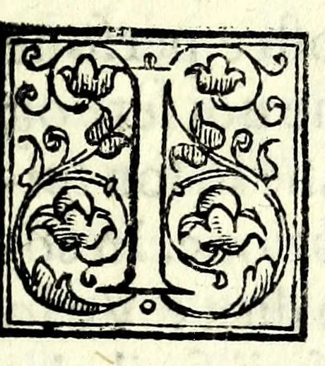 An illustration from La falsa ripvtatione della fortvna : favola morale, 1596, leaf 9