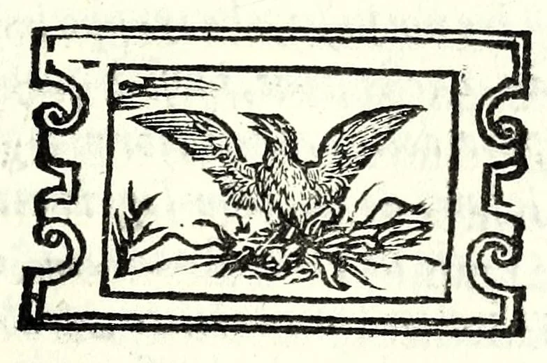 An illustration from La fancivlla : comedia, 1570, leaf 17