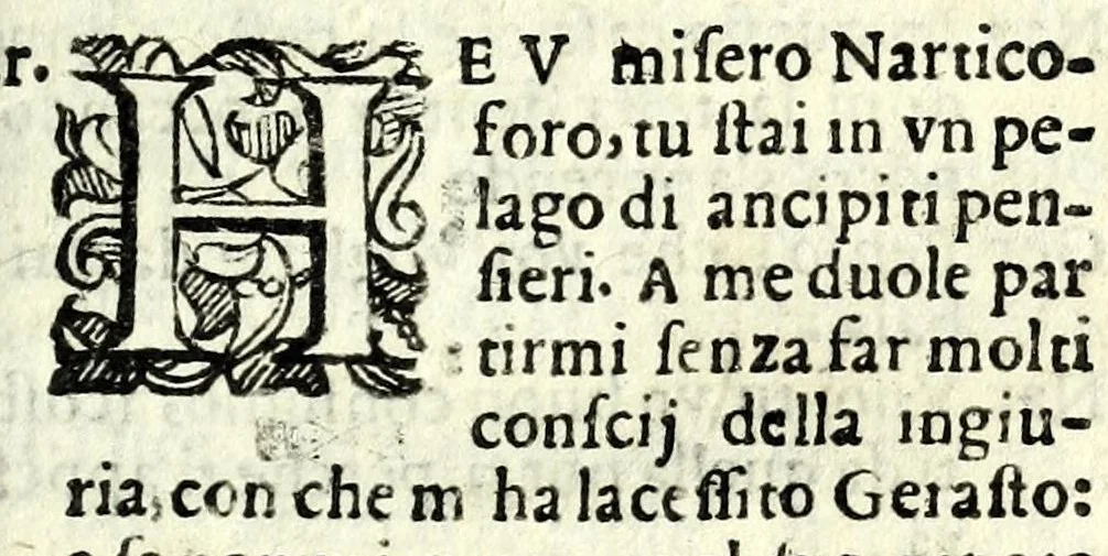 An illustration from La Fantesca : comedia, 1610, leaf 119