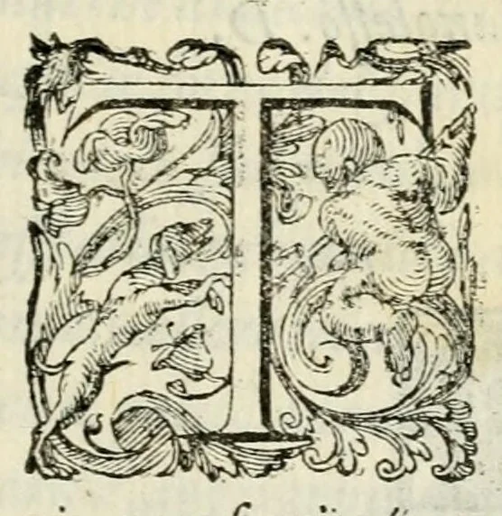 An illustration from La favsta et felice elettione in re di Polonia, del seren.mo & valorosis.mo Henrico di Valois, duca d'Angiò, fratello di Carlo IX. christianiss. rè di Francia : con l'offerte di S. M.tà & de gli altri prencipi suoi competitori, & nomi de gli elettori : con vn discorso nel quale si contengono l'origine, sito, qualità, ricchezze, costumi, modo de gouerno, e forze de Poloni; le imprese fatte da gli re Iagelloni, 1573, leaf 5
