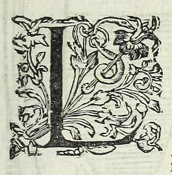 An illustration from La fidelle ouverture de l'art de serrurier : ou l'on void les principaulx preceptes, desseings [sic] et figures touchant les experiences et operations manuelles dudict art : ensemble vn petit traicté de diverses trempes, le tout, 1627, leaf 127