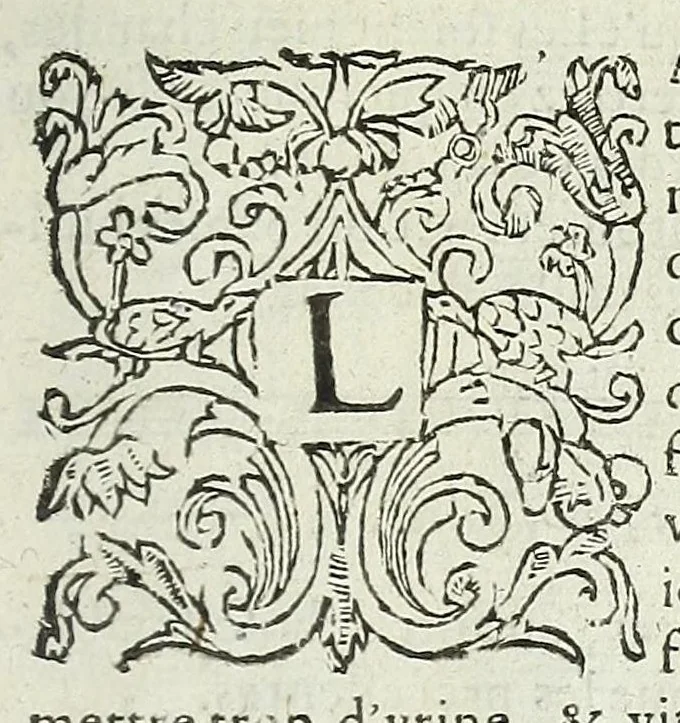 An illustration from La fidelle ouverture de l'art de serrurier : ou l'on void les principaulx preceptes, desseings [sic] et figures touchant les experiences et operations manuelles dudict art : ensemble vn petit traicté de diverses trempes, le tout, 1627, leaf 159