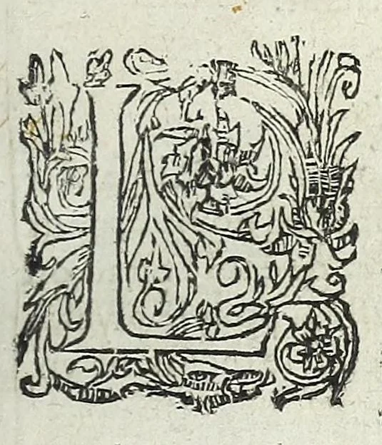 An illustration from La fidelle ouverture de l'art de serrurier : ou l'on void les principaulx preceptes, desseings [sic] et figures touchant les experiences et operations manuelles dudict art : ensemble vn petit traicté de diverses trempes, le tout, 1627, leaf 95