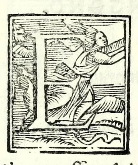 An illustration from La Fiorina : comedia facetissima, giocosa, et piena di piacevole allegrezza, 1557, leaf 5