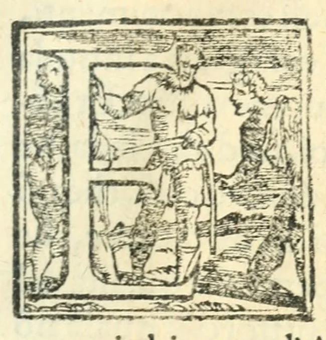 An illustration from La floria, 1560, leaf 81