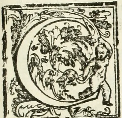 An illustration from La fortificatione, guardia, difesa, et espugnatione delle fortezze esperimentata in diuerse guerre, 1624, leaf 100