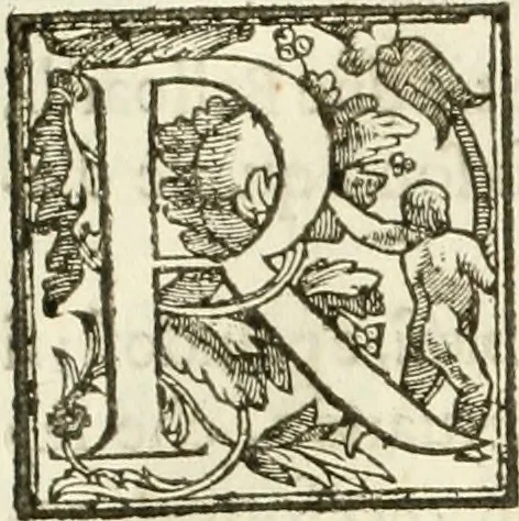An illustration from La fortificatione, guardia, difesa, et espugnatione delle fortezze esperimentata in diuerse guerre, 1624, leaf 108
