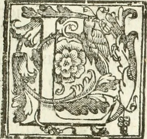 An illustration from La fortificatione, guardia, difesa, et espugnatione delle fortezze esperimentata in diuerse guerre, 1624, leaf 116