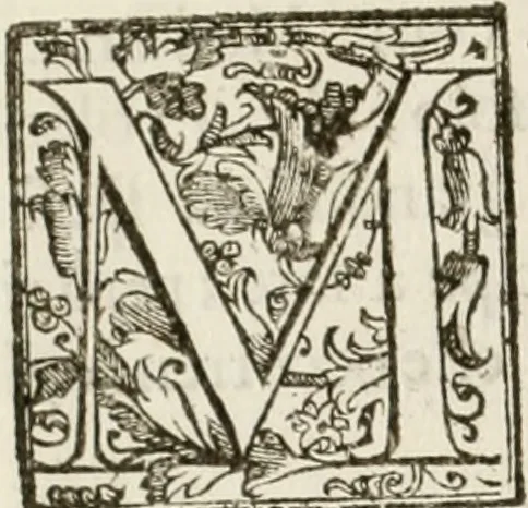 An illustration from La fortificatione, guardia, difesa, et espugnatione delle fortezze esperimentata in diuerse guerre, 1624, leaf 131