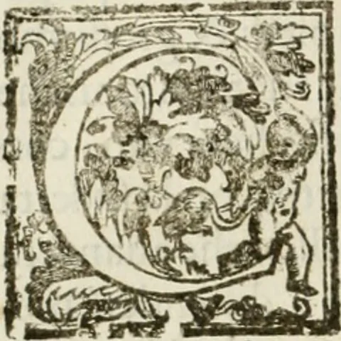 An illustration from La fortificatione, guardia, difesa, et espugnatione delle fortezze esperimentata in diuerse guerre, 1624, leaf 135