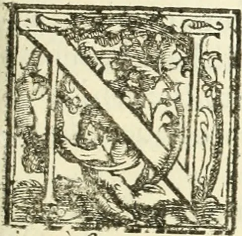 An illustration from La fortificatione, guardia, difesa, et espugnatione delle fortezze esperimentata in diuerse guerre, 1624, leaf 138