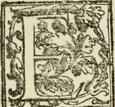 An illustration from La fortificatione, guardia, difesa, et espugnatione delle fortezze esperimentata in diuerse guerre, 1624, leaf 139