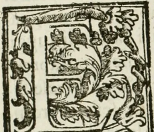 An illustration from La fortificatione, guardia, difesa, et espugnatione delle fortezze esperimentata in diuerse guerre, 1624, leaf 143